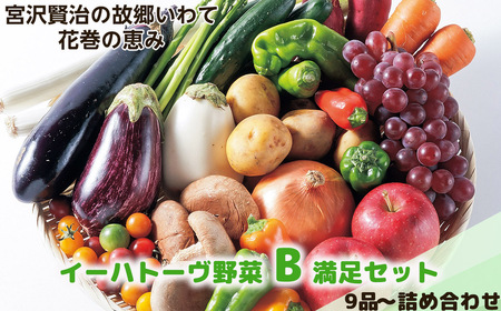 イーハトーヴ野菜B 満足セット 9品～ 詰め合わせ【1203】