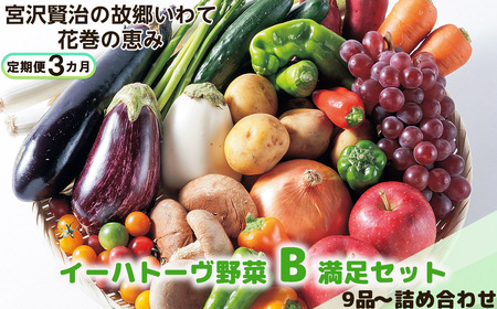  【定期便３ヶ月】イーハトーヴ野菜B 満足セット 9品～ 詰め合わせ【1204】