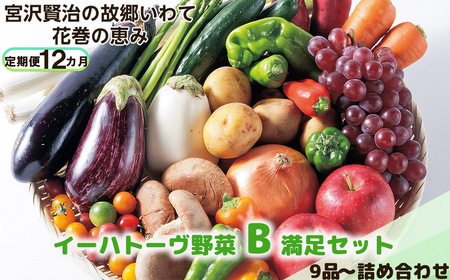 【定期便12ヶ月】イーハトーヴ野菜B 満足セット 9品～ 詰め合わせ【1206】