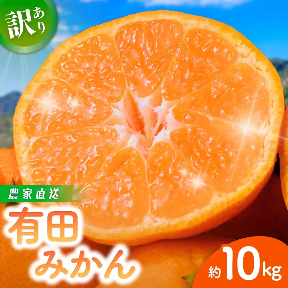 みかん 訳あり 有田みかん 約10kg 【nuk138H】