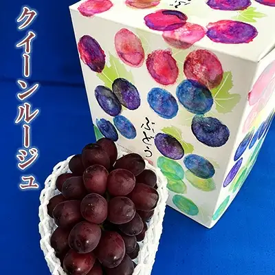【2026年先行予約】クイーンルージュ 約500g (1房) 村松農園 | クイーンルージュ