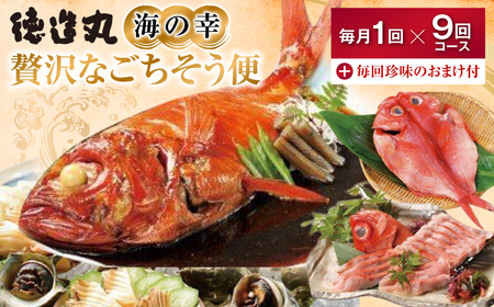 （冷凍） 贅沢なごちそう定期便 毎月1回×9回コース＋毎回人気の珍味付き I009 ／ 徳造丸 金目鯛 海の幸 海鮮 静岡県 東伊豆町
