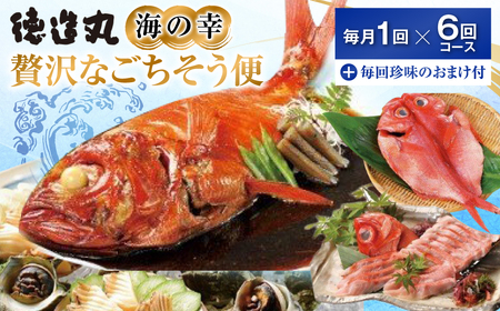 （冷凍） 贅沢なごちそう定期便 毎月1回×6回コース＋毎回人気の珍味付き G010 ／ 徳造丸 金目鯛 海の幸 海鮮 静岡県 東伊豆町