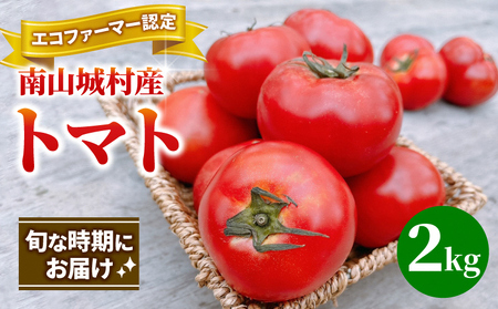 【旬な時期にお届け♪7月下旬より随時配送】内藤おじちゃんが育てる採れたて新鮮な童仙房高原トマト2kgセット◎エコファーマー認定者◎京都府南山城村産 野菜 夏野菜 リコピン サラダ 緑黄色野菜 