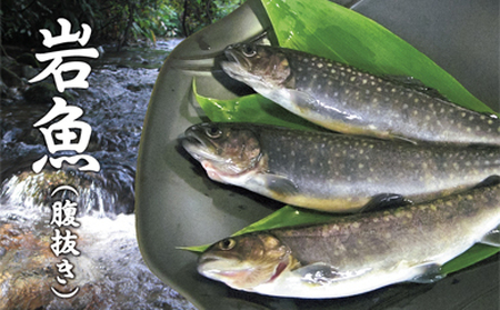 西塚農場産 岩魚冷凍20尾(腹抜き)