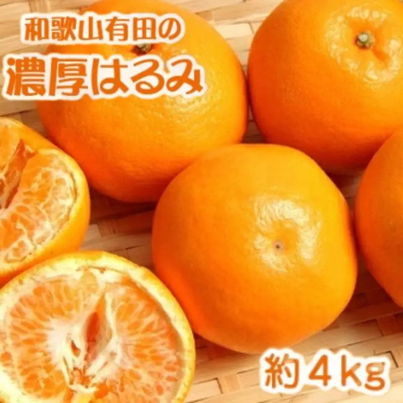 和歌山有田の濃厚はるみ　約4kg (2L又は3Lサイズ)　※2027/1/21～2/15（順次発送予定）【ard010C】