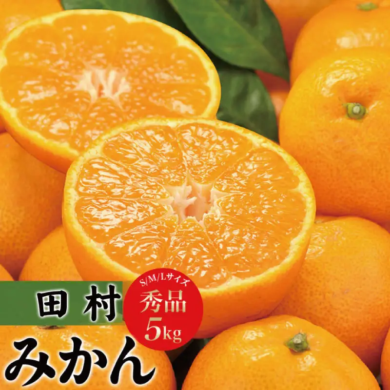 【予約受付】田村みかん　秀品5キロ/サイズおまかせ◆2026年11月下旬～2027年1月中旬頃に順次発送予定(お届け日指定不可)　紀伊国屋文左衛門本舗【sutb301B】