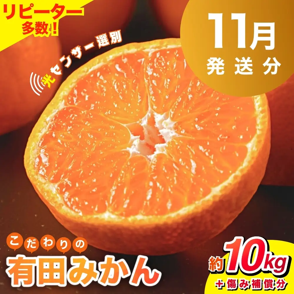 【2026年11月発送予約分】【家庭用】こだわりの有田みかん 約10kg＋250g(傷み補償分) ※北海道・沖縄・離島配送【nuk101-11C】