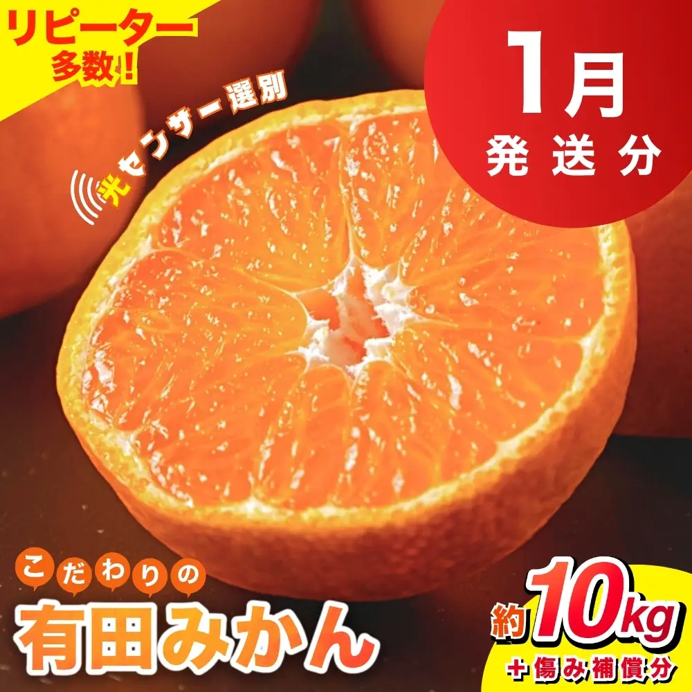 【2027年1月発送予約分】【家庭用】【農家直送】こだわりの有田みかん 約10kg＋250g(傷み補償分) 有機質肥料100%【2027年1月発送】※北海道・沖縄・離島配送不可【nuk101-01A】