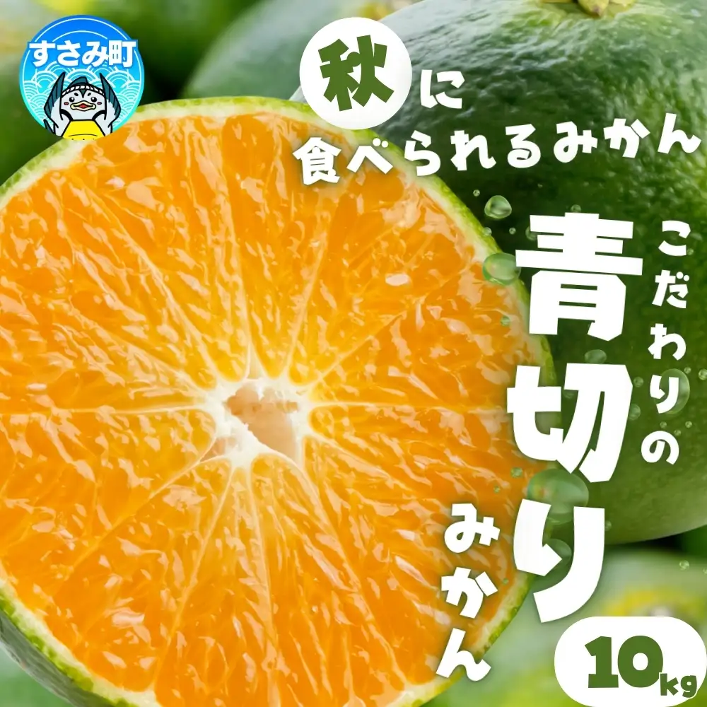 【2026年9月下旬~順次発送】青切りみかん(約10kg) サイズ混合（お届け日指定不可）和歌山県産【nuk108F】