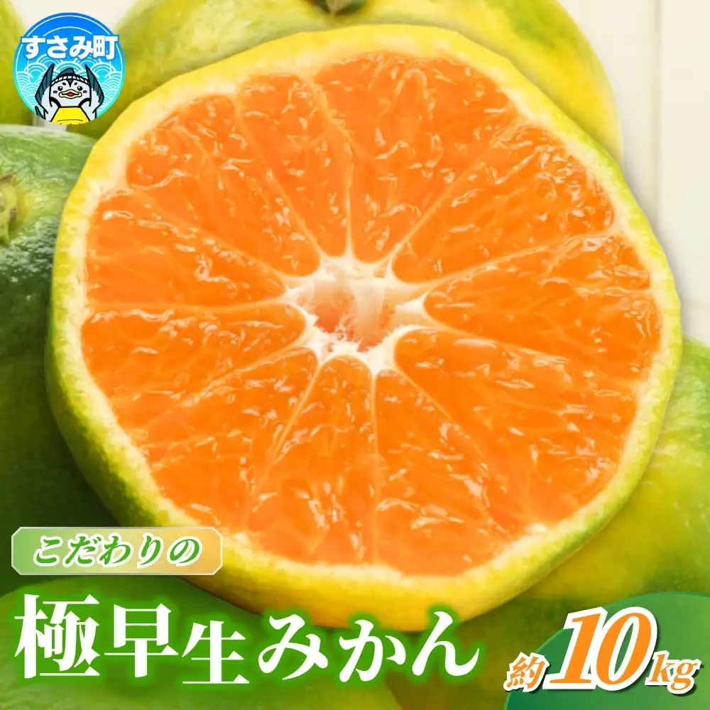 【2026年秋頃発送予約分】【農家直送】こだわりの極早生みかん 約10kg 【数量限定】 有機質肥料100% サイズ混合 ※2026年9月～10月に順次発送予定/ みかん 果物 フルーツ くだもの 有田みかん 柑橘【nuk135E】