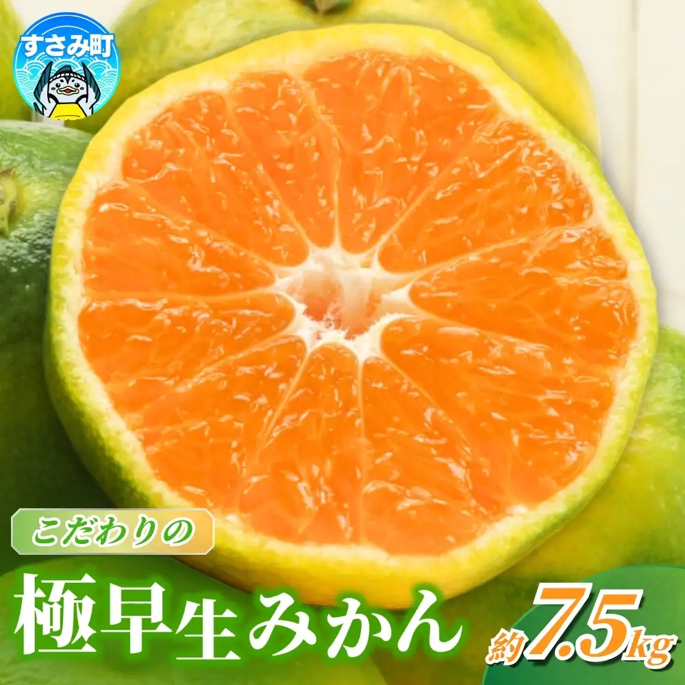 【2026年9月~発送】みかん 極早生みかん 約7.5kg(サイズ混合)【nuk136E】