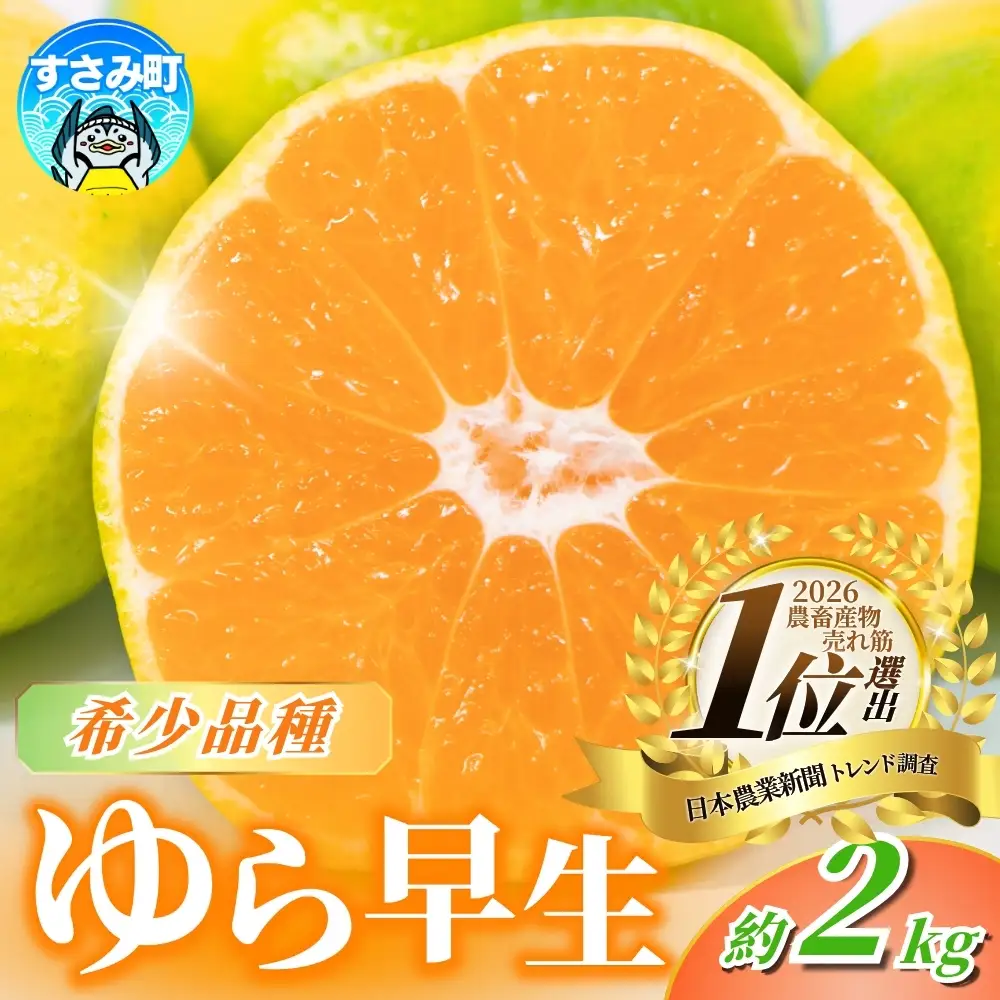 みかん 希少品種 ゆら早生みかん 約2kg【nuk143E】