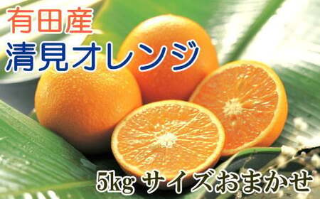【産直】有田産清見オレンジ約5kg（サイズおまかせ・秀品）※2027年3月上旬～2027年3月下旬頃発送予定【tec866B】