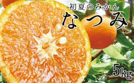 【先行予約】 初夏のみかん　なつみ5kg  ※2027年4月中旬頃〜2027年4月末頃順次発送予定(お届け日指定不可) / 果物 フルーツ 柑橘 くだもの 和歌山 有田みかん みかん オレンジ【uot501-2】