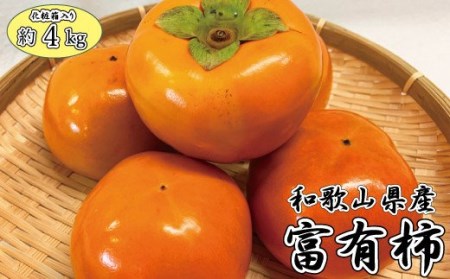 和歌山秋の味覚　富有柿　約4kg　化粧箱入　※2026年11月上旬頃～2026年12月上旬頃に順次発送予定（お届け日指定不可）【uot703】