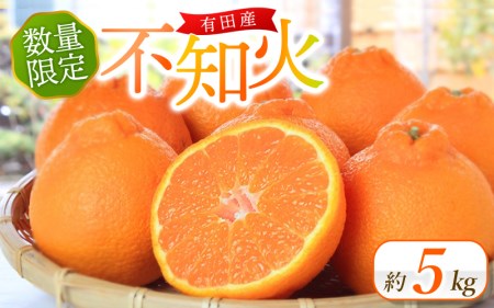 先行予約 紀州有田産 不知火(しらぬひ)  約5kg ＜2027年2月下旬頃〜3月中旬頃発送＞ 不知火 デコポン みかん ミカン 柑橘 果物 くだもの  フルーツ 旬 和歌山【uot709A】