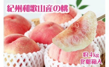 桃 紀州和歌山の桃 化粧箱入約4kg ※2026年6月下旬頃〜2026年8月上旬頃順次発送（お届け日指定不可）【uot723A】