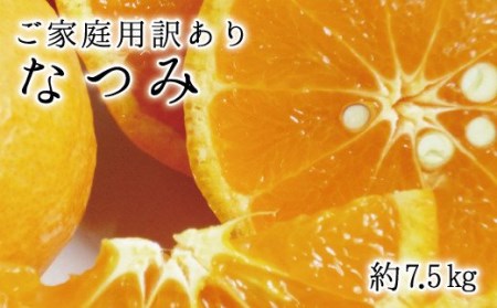 【ご家庭用訳アリ】初夏のみかん なつみ7.5kg　※2027年4月中旬頃〜2027年4月末頃順次発送予定(お届け日指定不可) / くだもの 果物 フルーツ 柑橘 オレンジ 有田みかん みかん 夏【uot733A】