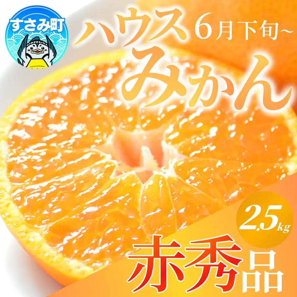 みかん 赤秀品ハウスみかん 2.5kg※2026年6月下旬頃〜7月下旬頃に順次発送予定【uot735A】