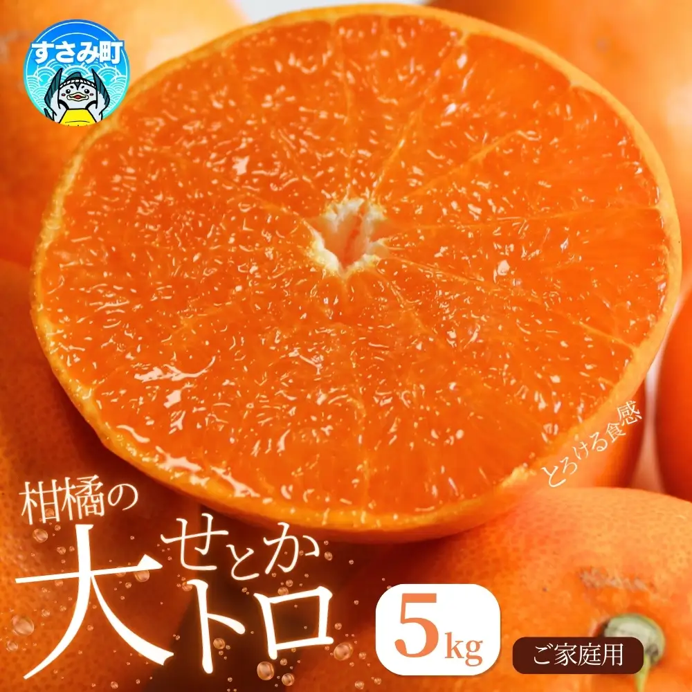 みかん 【とろける食感】せとか【予約】約5kg【uot748A】