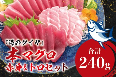 本マグロ（養殖）トロ＆赤身セット 240g 【１ヶ月以内に順次発送】/ 高級 クロマグロ  中トロ 中とろ  まぐろ マグロ 鮪 刺身 赤身 柵 じゃばらまぐろ 本マグロ 本鮪 【nks113B】