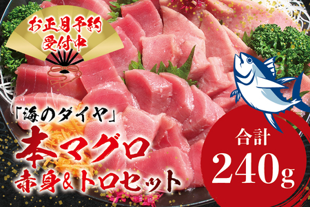 本マグロ（養殖）トロ＆赤身セット 240g 【12/25～29発送】高級 クロマグロ  中トロ 中とろ まぐろ マグロ 鮪 刺身 赤身 柵 じゃばらまぐろ 本マグロ 本鮪 【nks113B-sg】