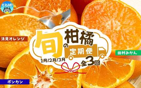 【3か月定期便】人気のみかんを集めた！旬の柑橘定期便 / 定期便 みかん 果物 柑橘 フルーツ オレンジ ミカン 和歌山 有田みかん【tkb111】