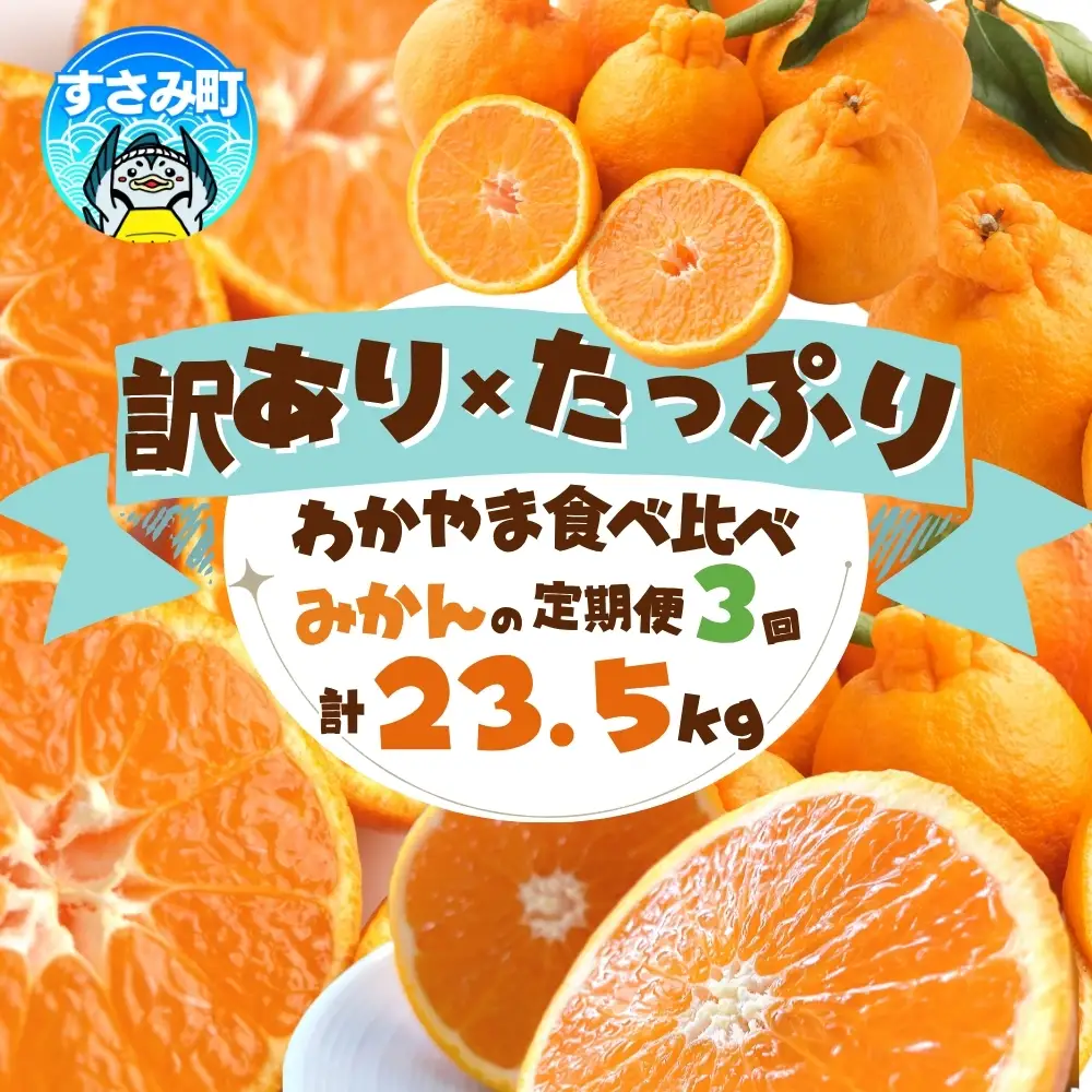 みかん 定期便 訳あり×たっぷり 温州みかん 不知火 清見オレンジ【tkb113】