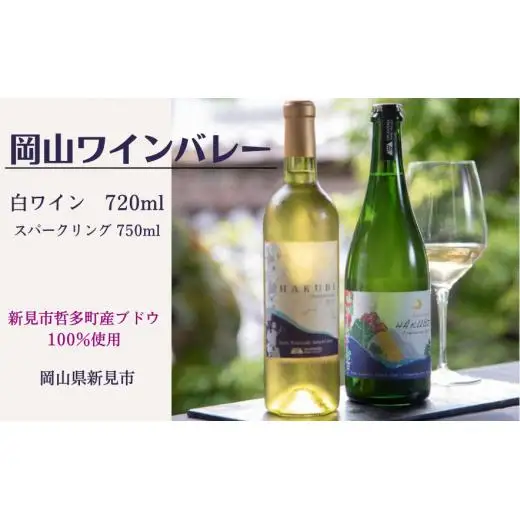 新見市哲多町産のぶどう100%を使った岡山ワインバレーの日本ワイン（白・スパークリング）2本セット