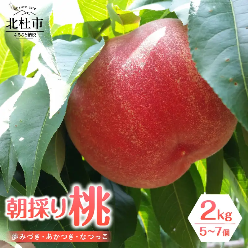 【2026年度先行予約】朝採り桃 2kg（夢みづき・あかつき・なつっこ）５～7個 [h187]