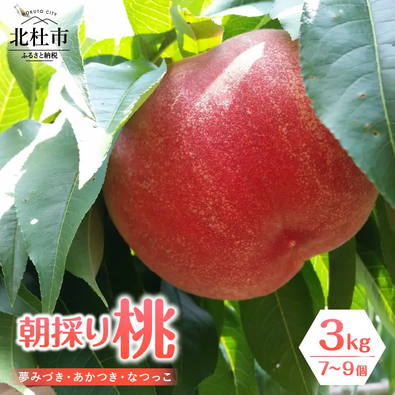 【2026年度先行予約】朝採り桃 3kg（夢みづき・あかつき・なつっこ）７～9個 [h187]