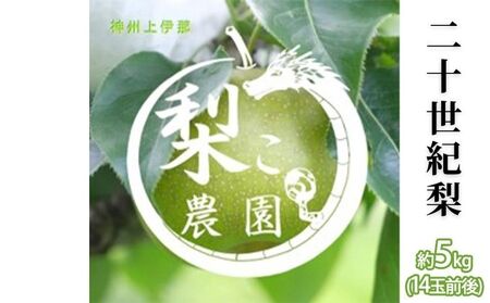 【無農薬】梨 先行予約 二十世紀梨 約5kg 14玉前後 フルーツ 果物  旬の果物 旬のフルーツ 甘い 皮ごと 