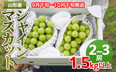 山形市産 シャインマスカット 秀1.5kg以上(2~3房)【前半】 FZ22-331