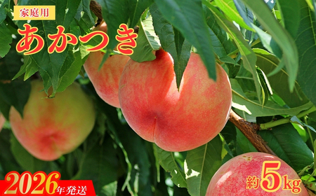 No.2155福島のもも　家庭用あかつき　約5kg【2026年発送 先行予約】