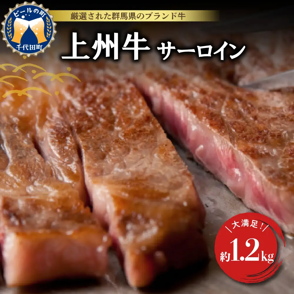 牛肉 サーロイン 【上州牛】 約1.2kg (約200g×6枚) 群馬県 千代田町 ※沖縄・離島地域へのお届け不可