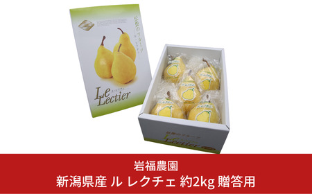 先行予約 洋梨 ル レクチェ 贈答用 2kg 新潟県産 洋梨 ル・レクチエ  岩福農園 