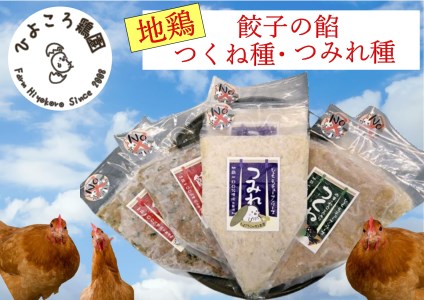 地鶏餃子の餡・地鶏つみれ種・地鶏つくね種　詰め合わせ ひよころ鶏園 鶏肉 餃子 ぎょうざ つみれ つくね 保存料未使用 食品添加物未使用 平飼い 鶏油 天然調味料 国産 地鶏 モモ肉 胸肉 れんこん ねぎ 新潟県 阿賀野市 冷凍 1R05021 