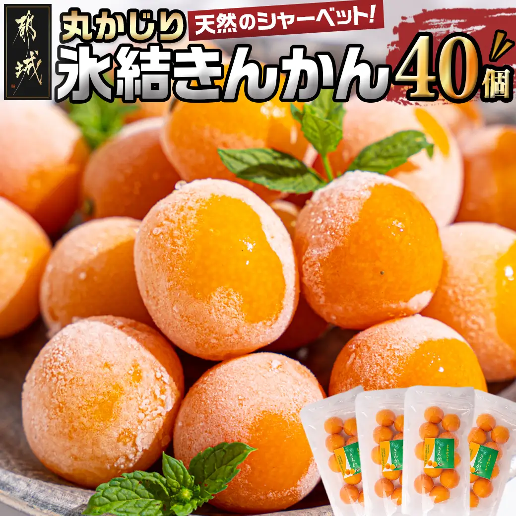 天然のシャーベット! 丸かじり氷結きんかん〔AA-B502〕_(都城市) 都城産 完熟きんかん きんかん 冷凍きんかん 急速冷凍