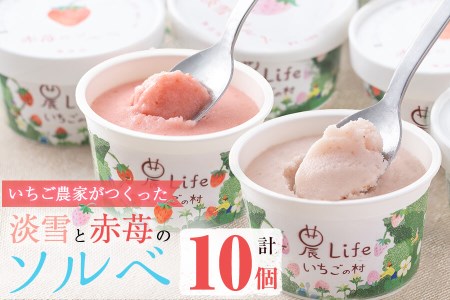 a5-218 いちご農家がつくった淡雪と赤苺のソルベ 計10個(2種・各5個入)