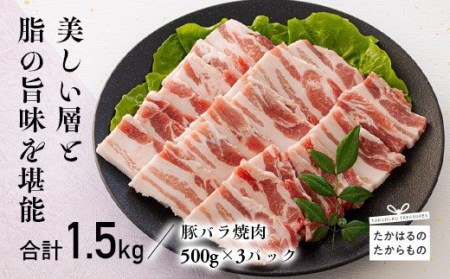 宮崎県産豚バラ焼肉 1.5kg 　TF0547-P00043