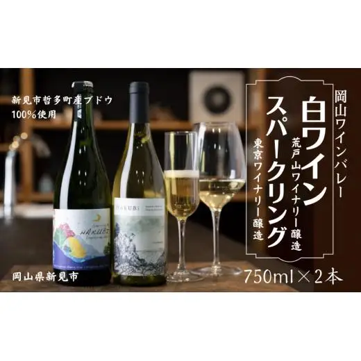 岡山ワインバレー 白ワイン・スパークリング 2本セット 荒戸山ワイナリー醸造 東京ワイナリー醸造 750ml