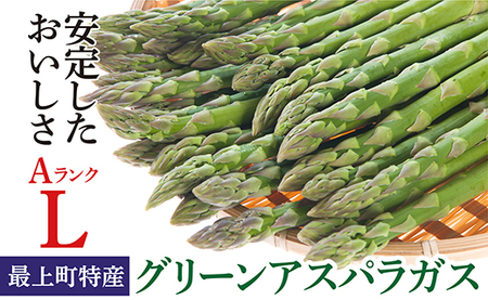 JA【令和8年産】最上町特産グリーンアスパラ1kg