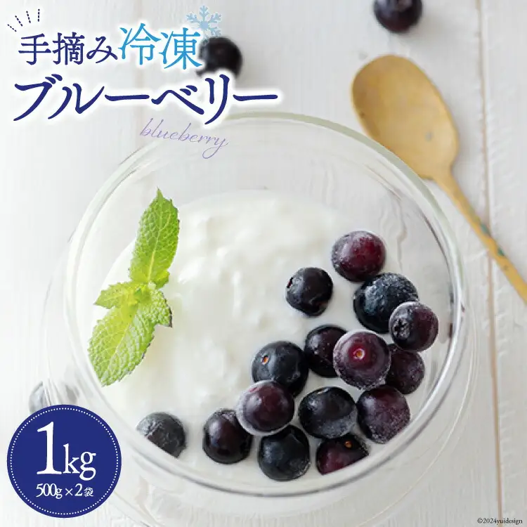 ブルーベリー 冷凍 500g × 2袋 1kg [春夏秋冬いっつもや 宮崎県 美郷町 31ab0135]