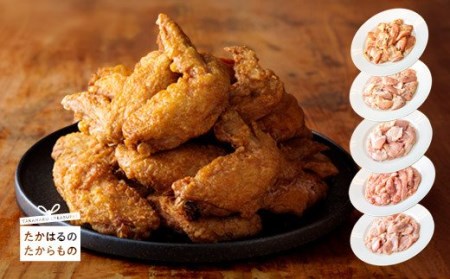 家族だんらんセット　TF0430-P00033