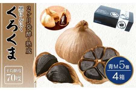 黒にんにく 「くろくま」M玉 5個×4箱（合計20個） 青森県産にんにく 宇城市黒にんにく 熊本県黒にんにく くろくま黒にんにく 発酵熟成黒にんにく 