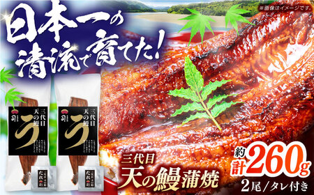 土佐料理司 三代目天の鰻蒲焼2尾セット （合計約260g） 高知市 春野町産 / うなぎ 鰻 ウナギ 国産 うなぎ蒲焼 鰻蒲焼き 蒲焼き 蒲焼 かば焼き 魚介 たれ タレ うな重 うな丼 ひつまぶし 贈答 贈り物 プレゼント ギフト のし対応 冷凍 高知 仁淀川 おすすめ [ATAD020]