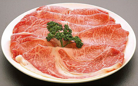 土佐黒毛和牛　もも　しゃぶしゃぶ用　約500g / とろけるやわらかさ 和牛 高知県産 国産和牛 牛肉 黒毛和種  【（有）蔵多堂】 [ATAE008]