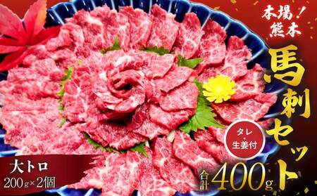 馬刺し セット 大トロ 400g 厳選馬刺し 最上級馬刺し 大トロ馬刺し 熊本馬刺し
