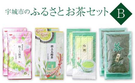 緑茶 宇城市のふるさとお茶 セット B